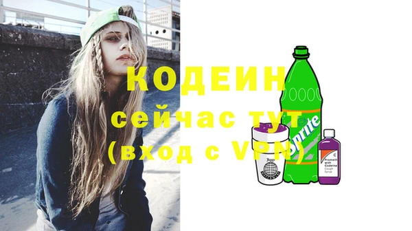 гашик Коряжма