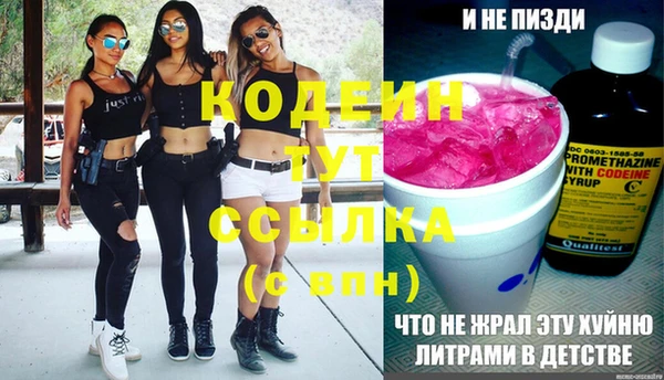 прущий лед Корсаков
