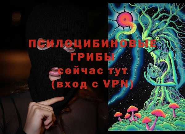 ПСИЛОЦИБИНОВЫЕ ГРИБЫ Красноперекопск