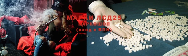 гашик Коряжма